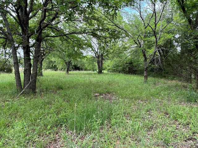 Tanglewood Ct, Lone Grove, OK 73443 - photo 22