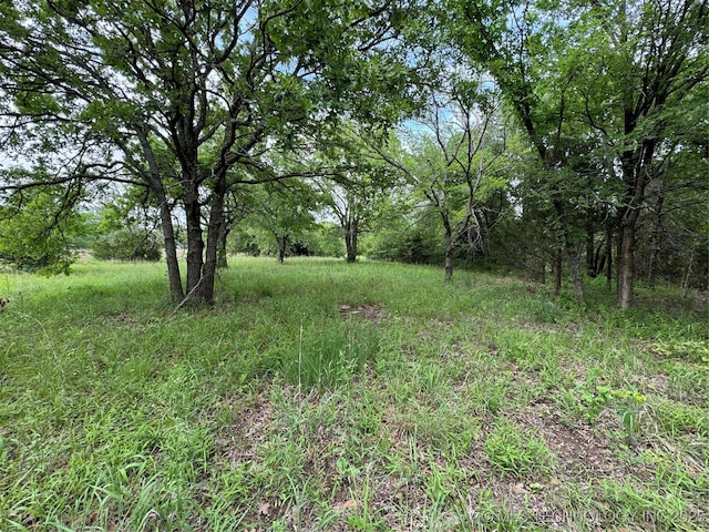 Tanglewood Ct, Lone Grove, OK 73443 - photo 23