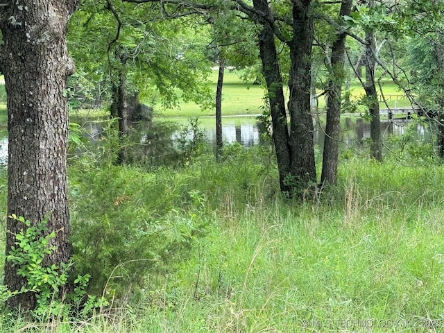 Tanglewood Ct, Lone Grove, OK 73443 - photo 24