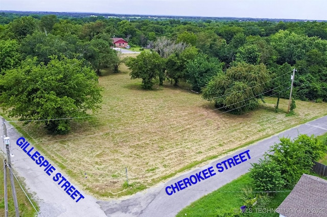 715 S Cherokee St, Locust Grove, OK 74352 - photo 13