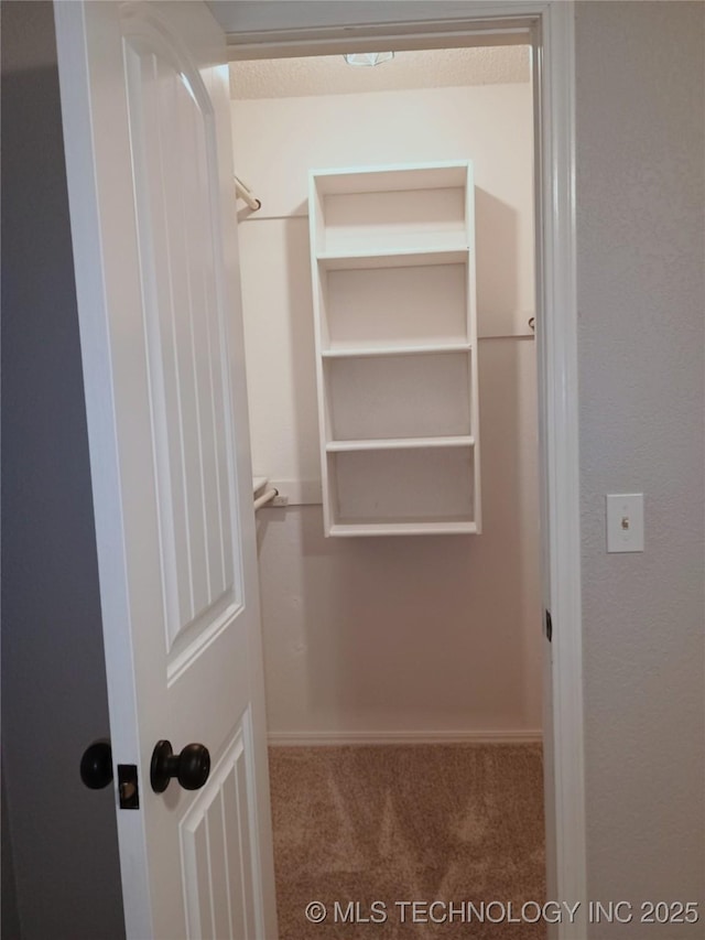 804 W Glendale St, Broken Arrow, OK 74011 - walk in closet with carpet floors