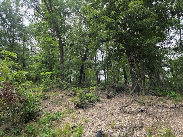 76654 S 4695, Stilwell, OK 74960 - view of local wilderness
