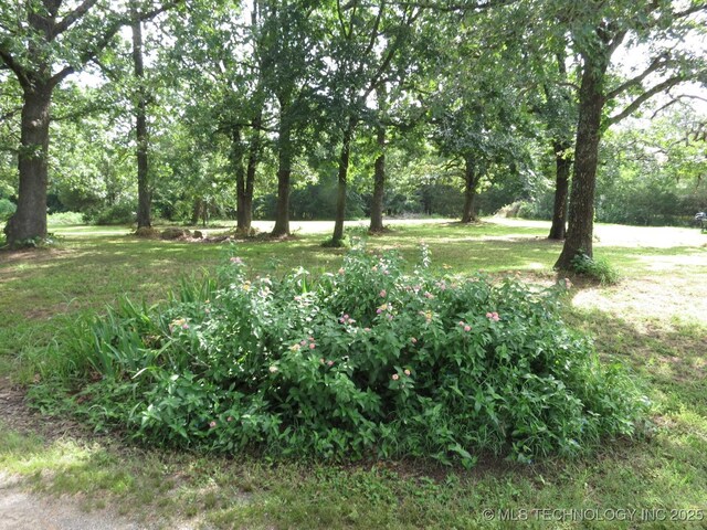 504 Blocker Rd, Mcalester, OK 74501 - view of green lawn