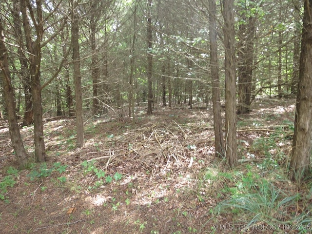 504 Blocker Rd, Mcalester, OK 74501 - view of wooded area