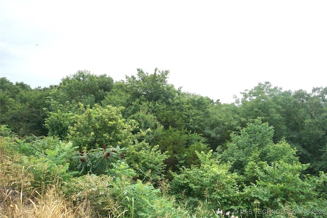710 N 14th St, Henryetta, OK 74437 - view of nature