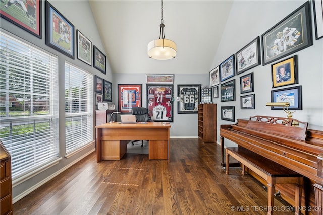 11710 S Willow St, Jenks, OK 74037 - home office featuring high vaulted ceiling and dark wood finished floors