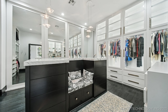1226 W 109th Pl S, Jenks, OK 74037 - spacious closet featuring dark wood finished floors
