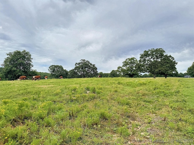 25821 S 545th Rd, Park Hill, OK 74451 - photo 85