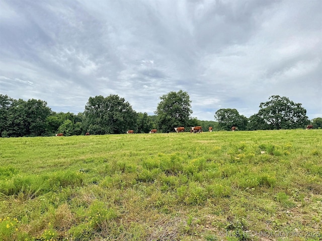 25821 S 545th Rd, Park Hill, OK 74451 - photo 82