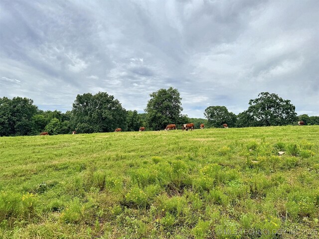25821 S 545th Rd, Park Hill, OK 74451 - photo 83
