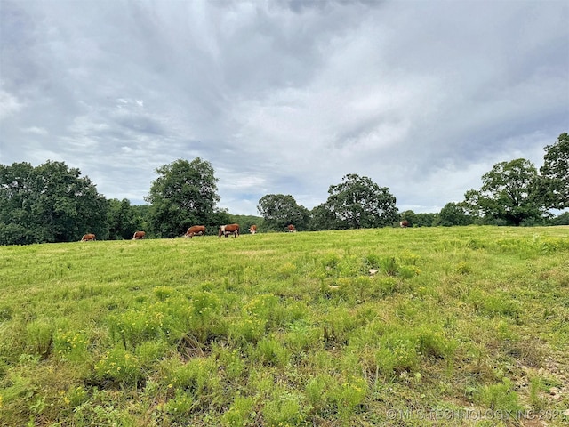 25821 S 545th Rd, Park Hill, OK 74451 - photo 84