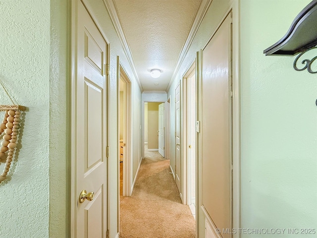 14174 County Road 3501, Ada, OK 74820 - corridor featuring light carpet, crown molding, a textured ceiling, and a textured wall