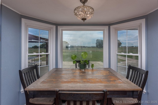 105074 N 3770, Okemah, OK 74859 - dining space featuring a textured wall, plenty of natural light, and crown molding