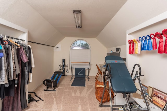 105074 N 3770, Okemah, OK 74859 - exercise room with lofted ceiling and light carpet