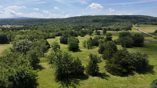 S Cooper Bend Rd, Kinta, OK 74552 - photo 8