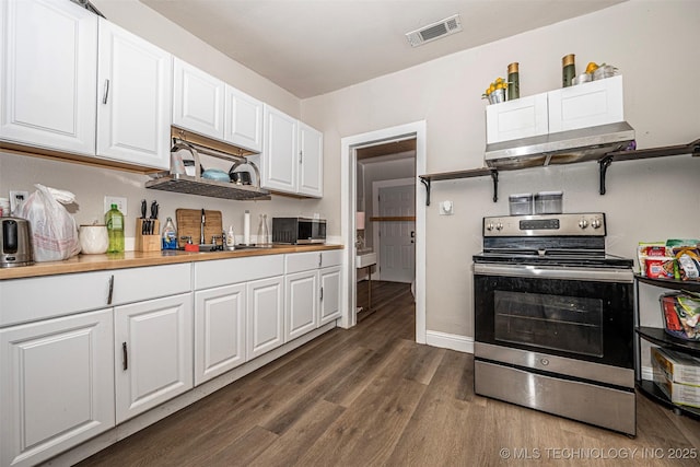 1208 NW 1st Ave, Ardmore, OK 73401 - kitchen featuring stainless steel appliances, ventilation hood, wood finished floors, white cabinets, and wood counters