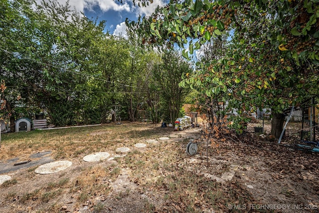 1208 NW 1st Ave, Ardmore, OK 73401 - view of yard