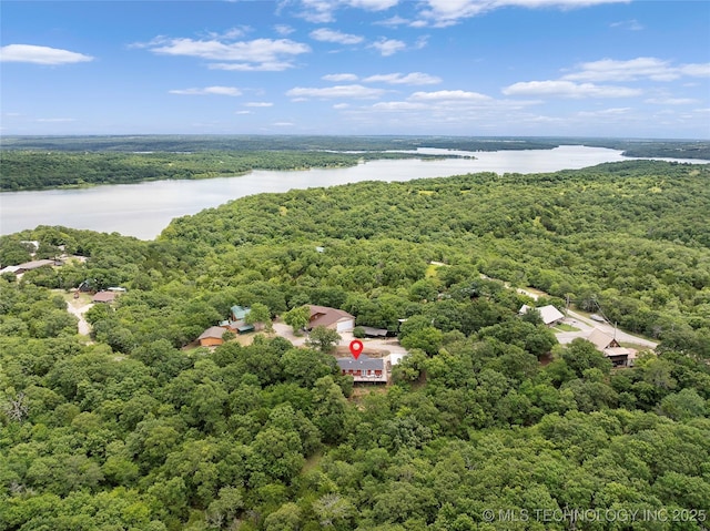 4080 Bud Dr, Sulphur, OK 73086 - aerial view of a forest and a nearby body of water