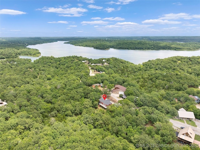 4080 Bud Dr, Sulphur, OK 73086 - bird's eye view of a heavily wooded area and a large body of water