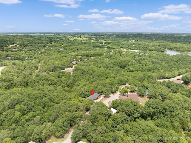 4080 Bud Dr, Sulphur, OK 73086 - bird's eye view of a forest