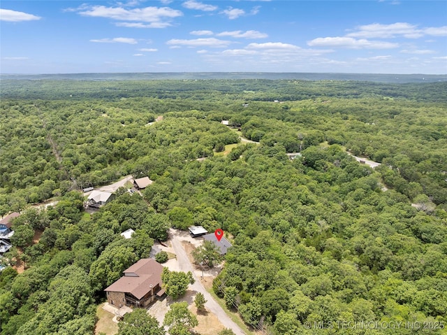 4080 Bud Dr, Sulphur, OK 73086 - bird's eye view of a forest