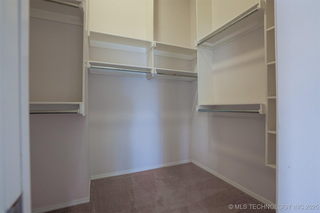 9904 N 102nd E Ave, Owasso, OK 74055 - walk in closet featuring carpet