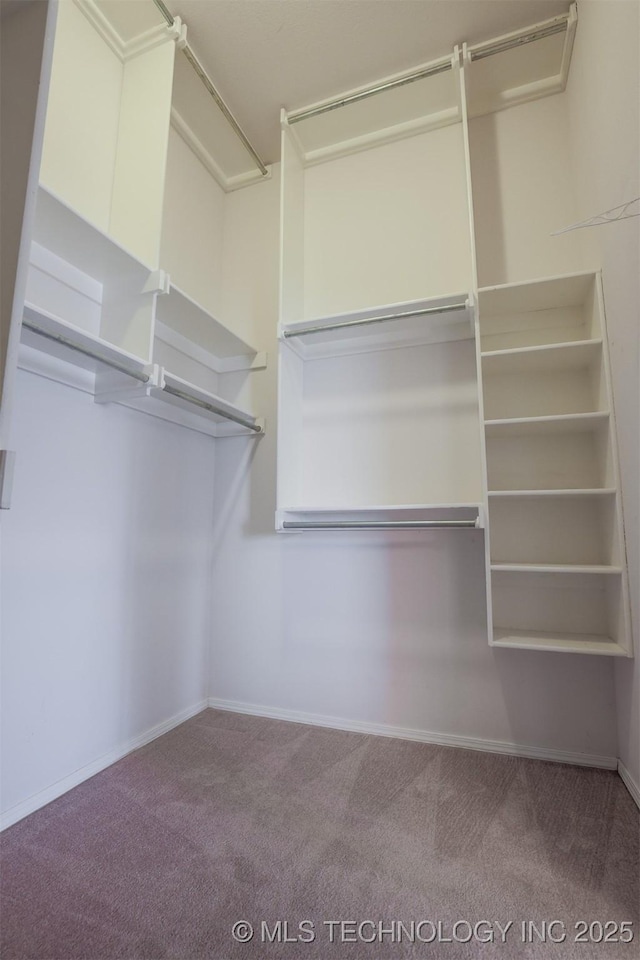 9904 N 102nd E Ave, Owasso, OK 74055 - walk in closet with carpet