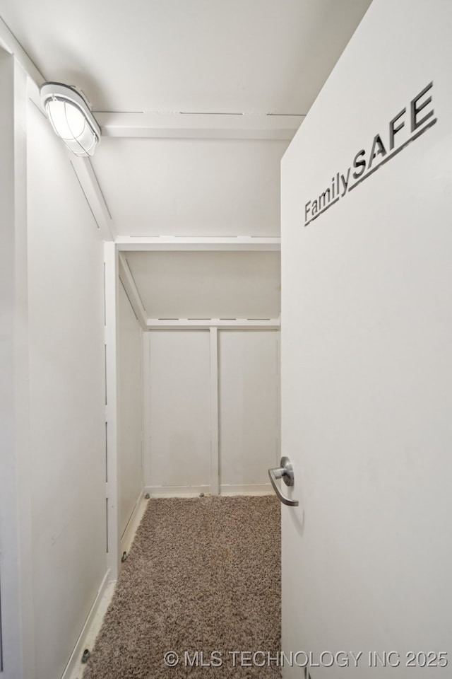 12225 S Glen Ct, Jenks, OK 74037 - spacious closet featuring carpet flooring