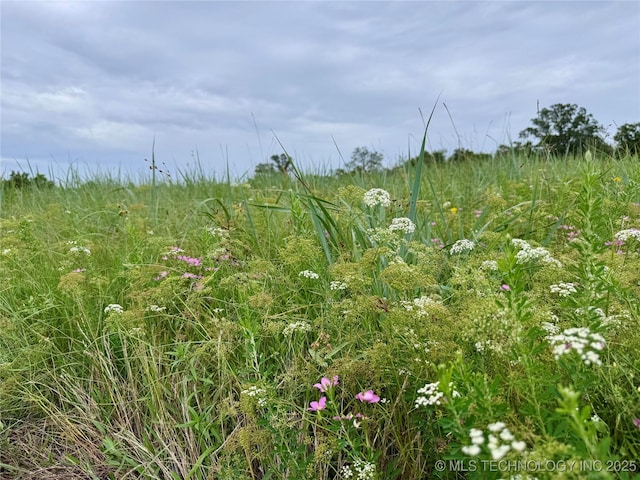3691 No Man Rd, Healdton, OK 73438 - photo 42