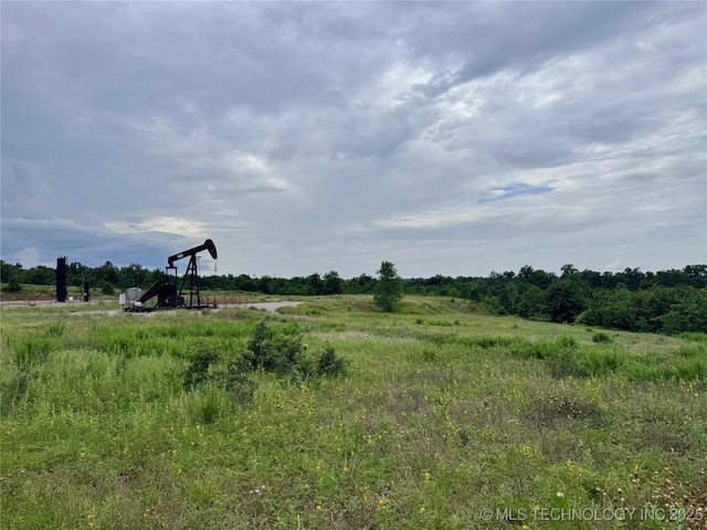3691 No Man Rd, Healdton, OK 73438 - photo 67
