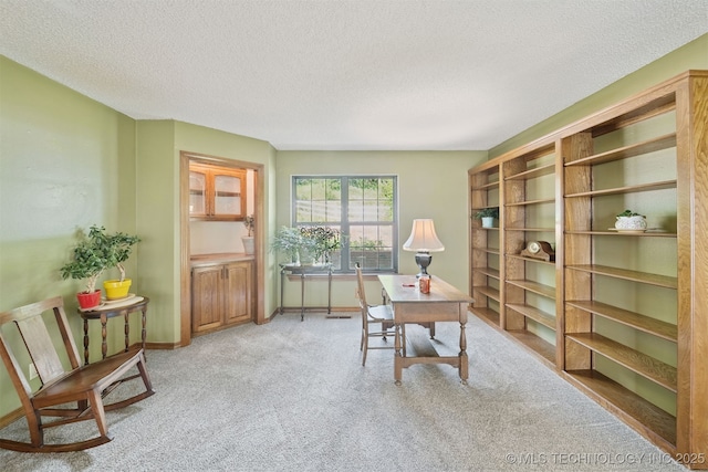 19585 Cottrell Dr, Claremore, OK 74019 - office with a textured ceiling and light colored carpet