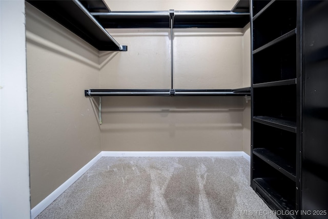 16304 Bandera, Oklahoma City, OK 73013 - walk in closet featuring carpet floors