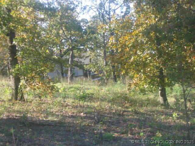 6 E 953rd Rd, Vian, OK 74962 - photo 2