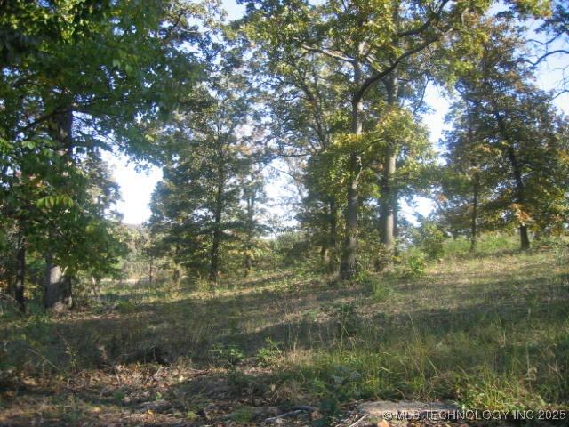 6 E 953rd Rd, Vian, OK 74962 - photo 4