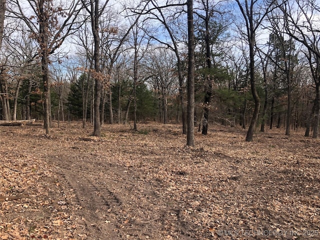 Palomino Ln, Kingston, OK 73439
