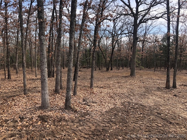 Palomino Ln, Kingston, OK 73439