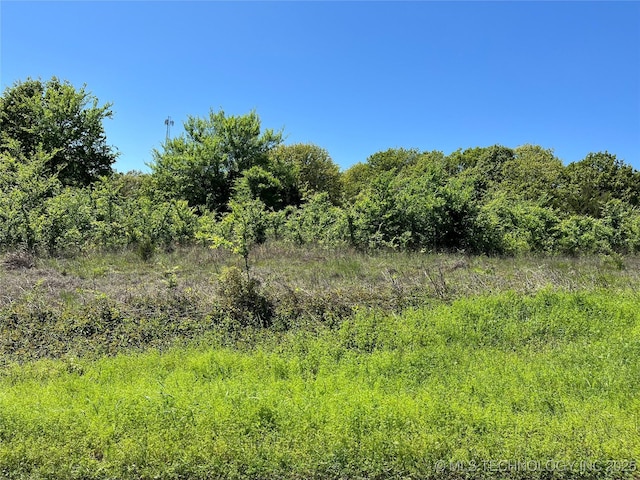 Enos Rd, Kingston, OK 73439 - photo 2
