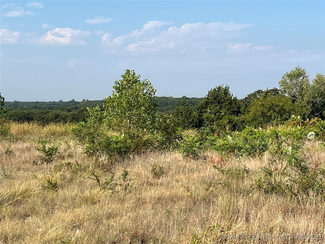 Enos Rd, Kingston, OK 73439 - photo 6