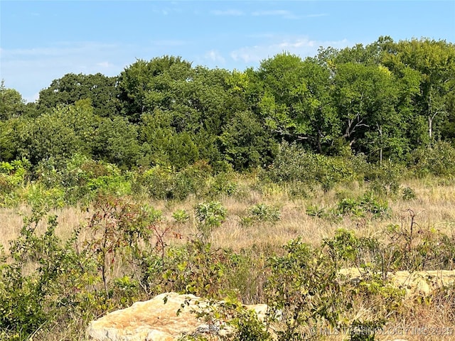 Enos Rd, Kingston, OK 73439 - photo 7