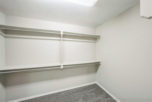 12003 S Tamarack St W, Jenks, OK 74037 - spacious closet with carpet
