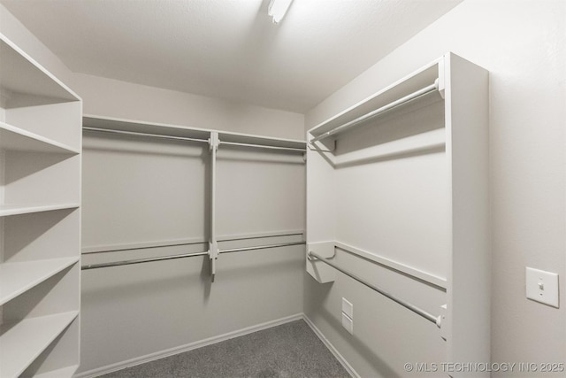 17409 E 44th St S, Tulsa, OK 74134 - spacious closet featuring dark carpet