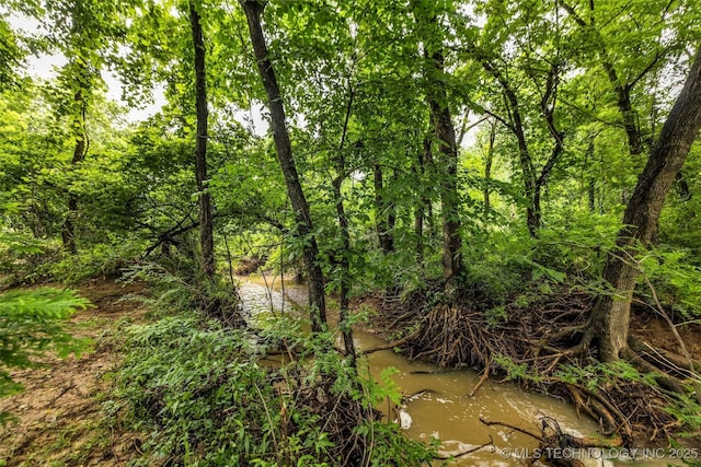 9601 Spring Lake Dr, Broken Arrow, OK 74014 - view of nature