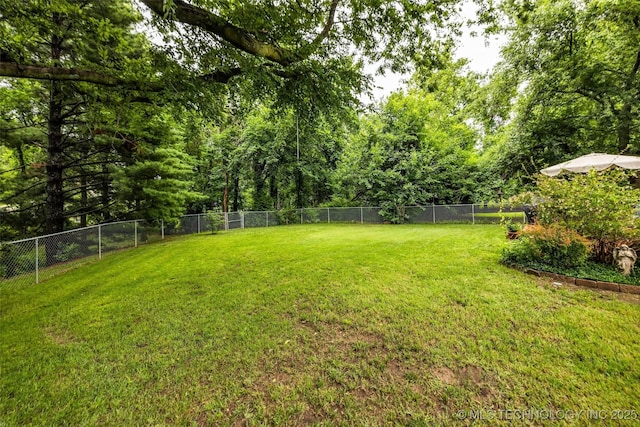 9601 Spring Lake Dr, Broken Arrow, OK 74014 - view of fenced backyard