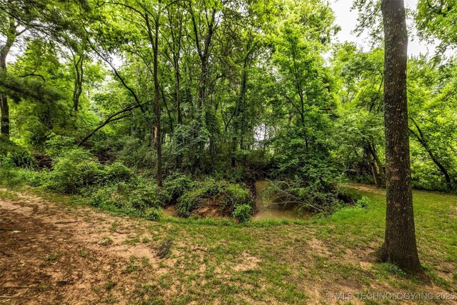 9601 Spring Lake Dr, Broken Arrow, OK 74014 - view of woods
