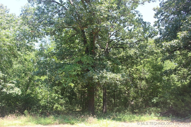 5580 E 610th Rd, Locust Grove, OK 74352 - photo 39