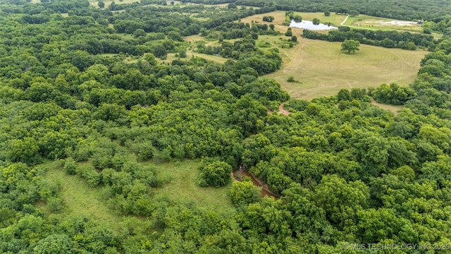 16537 County Road 3720, Centrahoma, OK 74534 - photo 59
