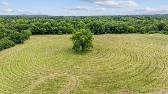 16537 County Road 3720, Centrahoma, OK 74534 - photo 54