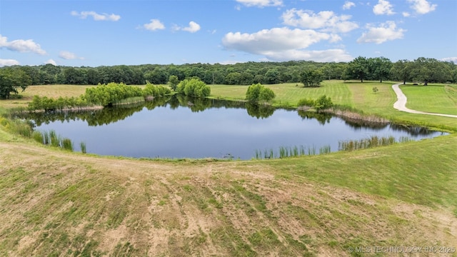 16537 County Road 3720, Centrahoma, OK 74534 - photo 51