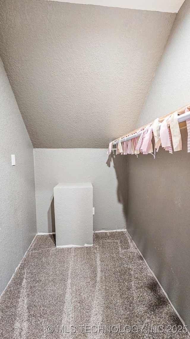 5068 E 188th St S, Warner, OK 74469 - walk in closet with vaulted ceiling and carpet floors