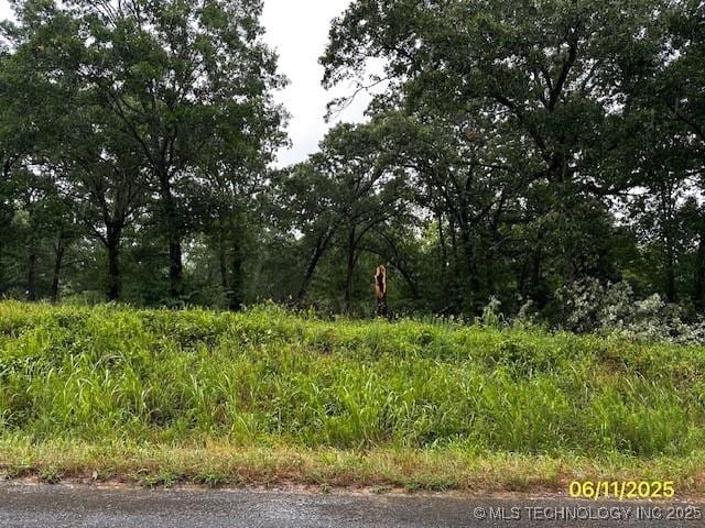 78 Van Zandt Ln, Mead, OK 73449 - photo 6